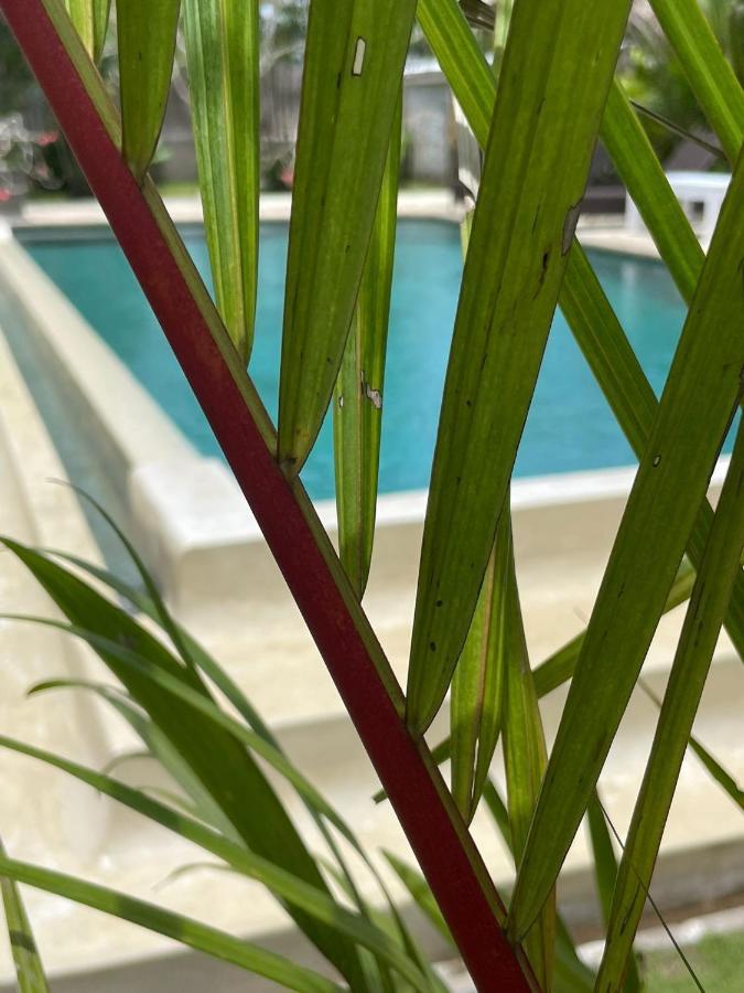 Hola Lofts Villa Uluwatu Dış mekan fotoğraf